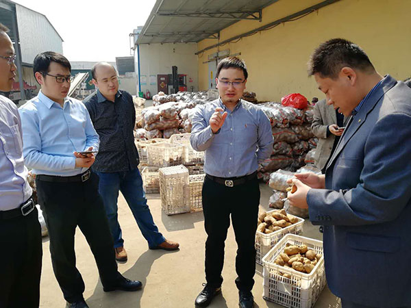 镇经贸委付主任