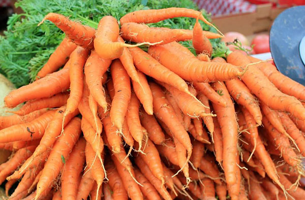 胡萝卜