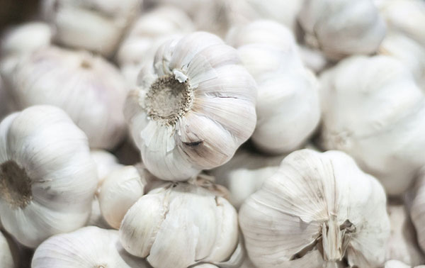 大蒜