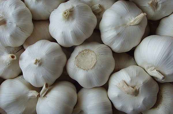 大蒜