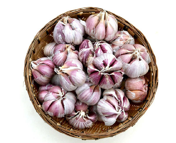 大蒜