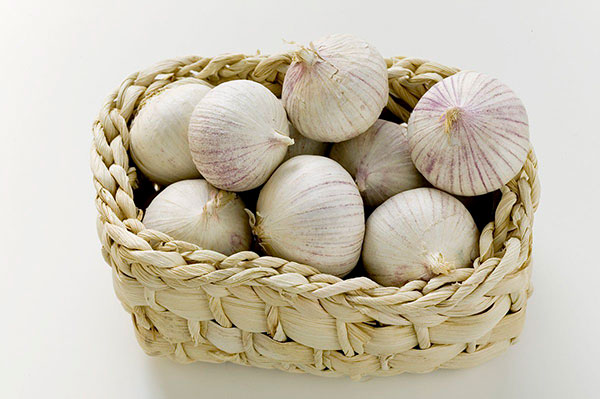 大蒜